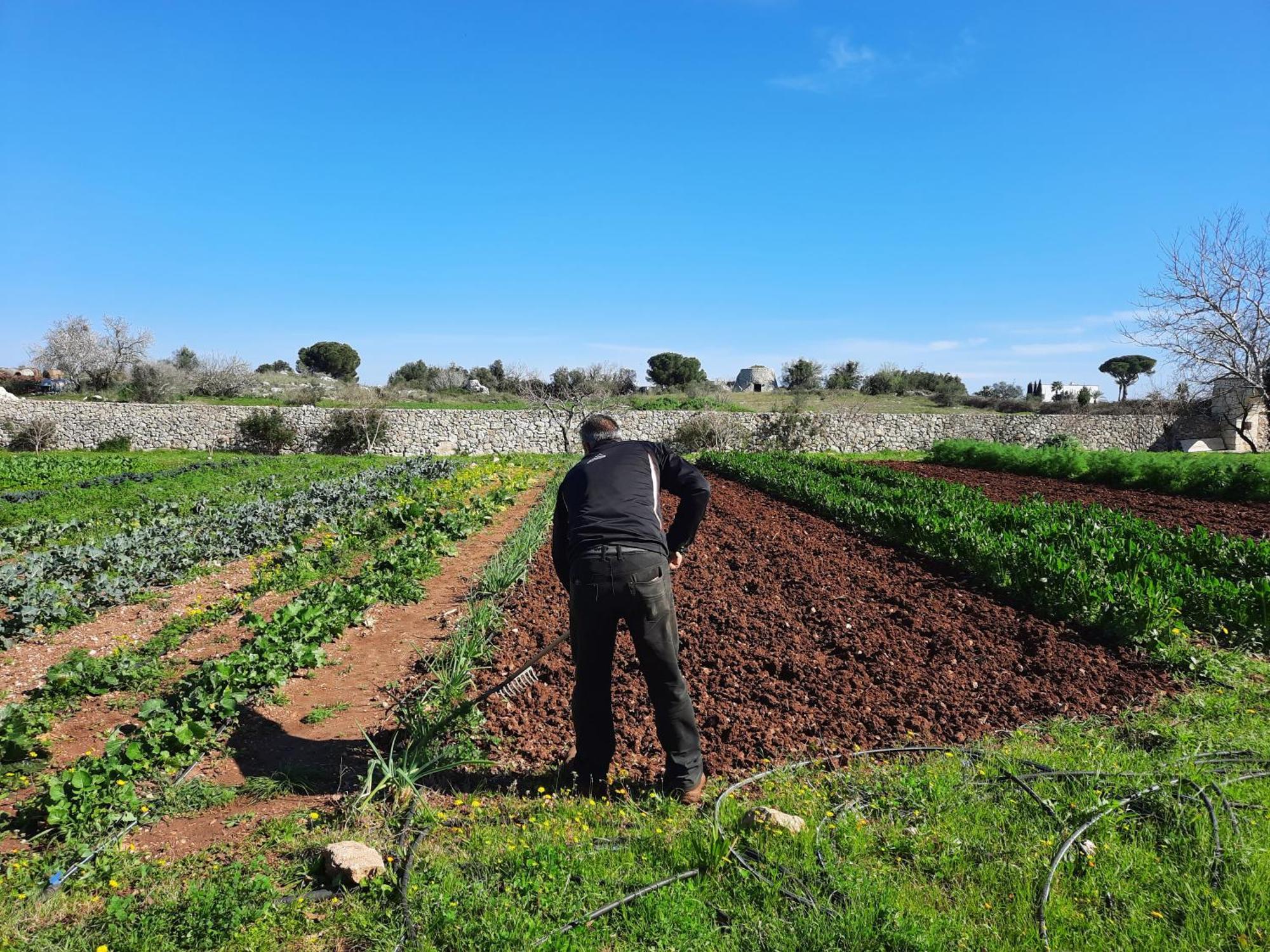 Masseria San Cosimo Carpignano Salentino Kültér fotó
